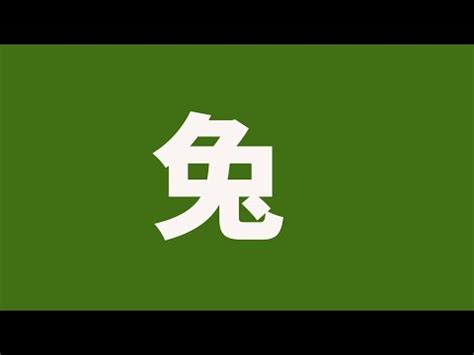 2023屬兔姓名學|2023兔寶寶取名不燒腦！精選40個最適合的字，以及。